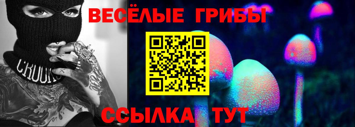 Видное  Галлюциногенные грибы мухоморы  Вход с VPN 